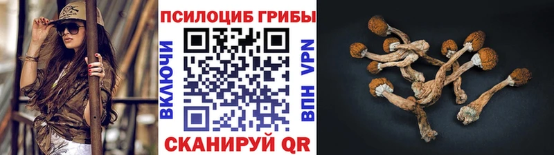 Купить где  Троицк  Галлюциногенные грибы Magic Shrooms 